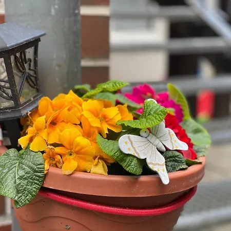 Zum Blumchen بيت ضيافة