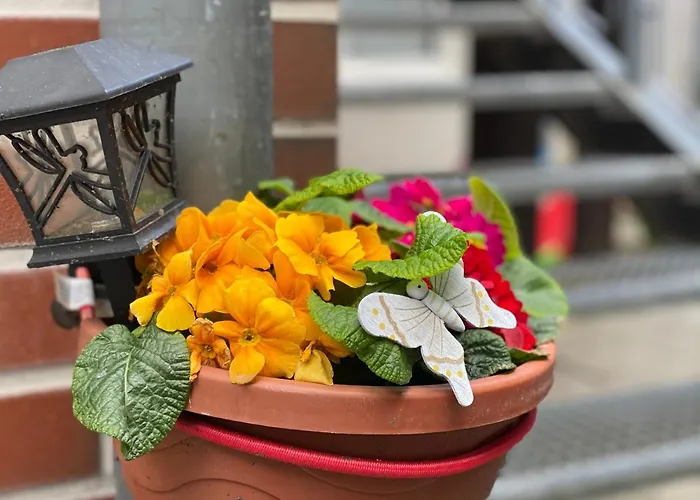 Zum Blümchen Pensión