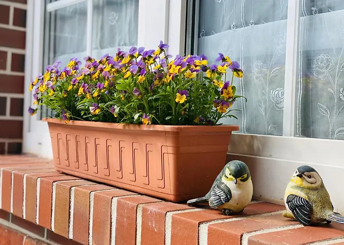 Zum Blümchen Pensión